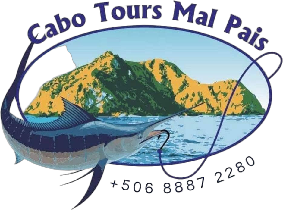 Cabo Tours Mal País